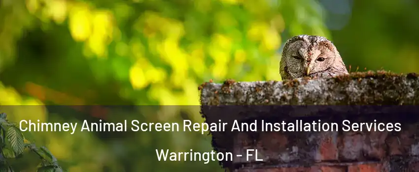  Chimney Animal Screen Repair And Installation Services Warrington - FL