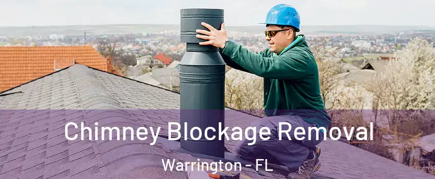  Chimney Blockage Removal Warrington - FL