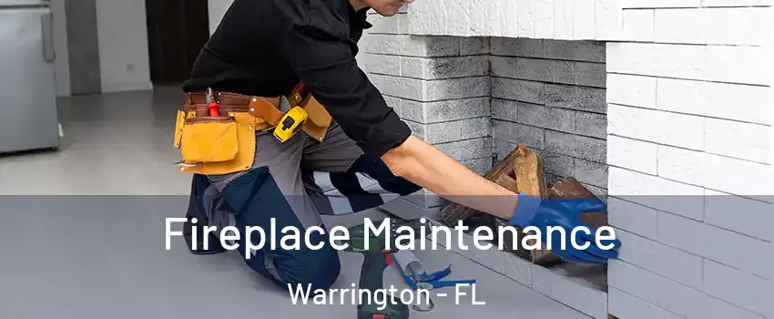  Fireplace Maintenance Warrington - FL