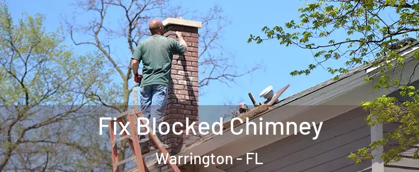  Fix Blocked Chimney Warrington - FL