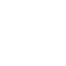 Professional Chimney Flue Installation in Warrington, Florida