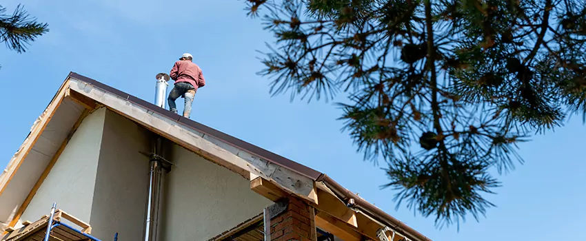 Birds Removal Contractors from Chimney in Warrington, FL