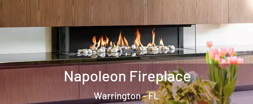  Napoleon Fireplace Warrington - FL